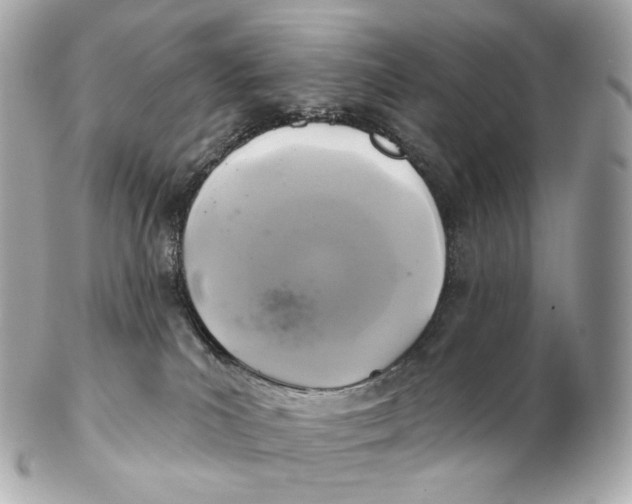 X0000102280039200808151938