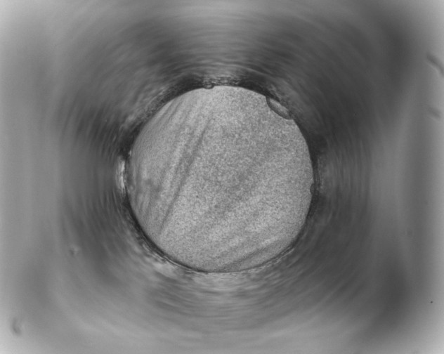 X0000102280041200808151938