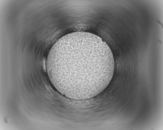 X0000102280042200808151938