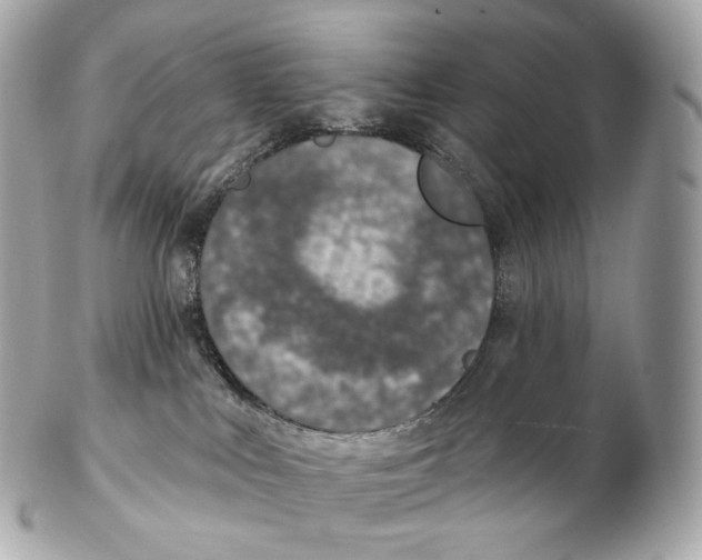 X0000102280043200808151938
