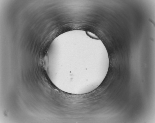X0000102280044200808151938