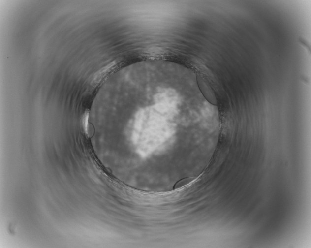 X0000102280047200808151938