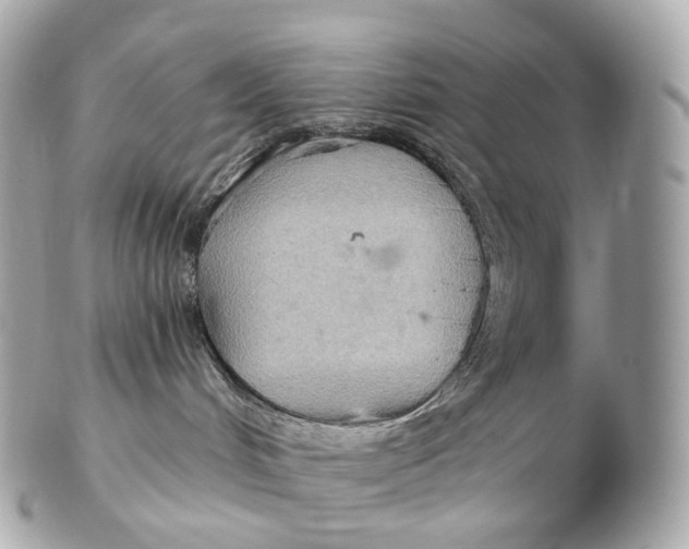 X0000102280048200808151938