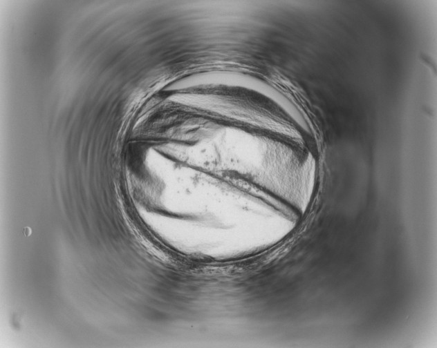 X0000102280049200808151938