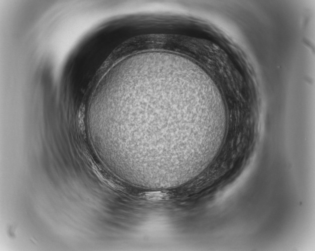 X0000102280050200808151938