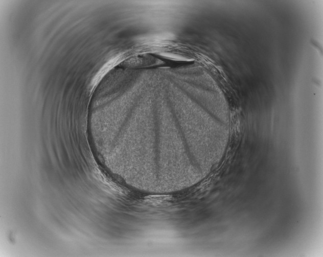 X0000102280051200808151938