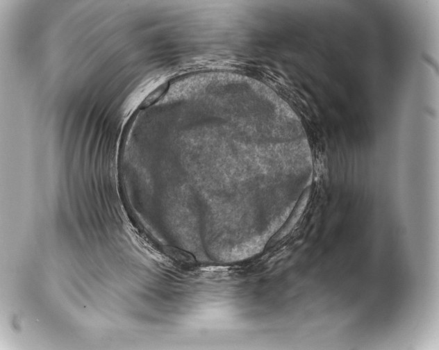 X0000102280052200808151938
