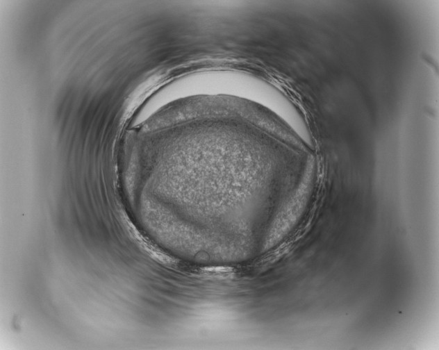 X0000102280053200808151938