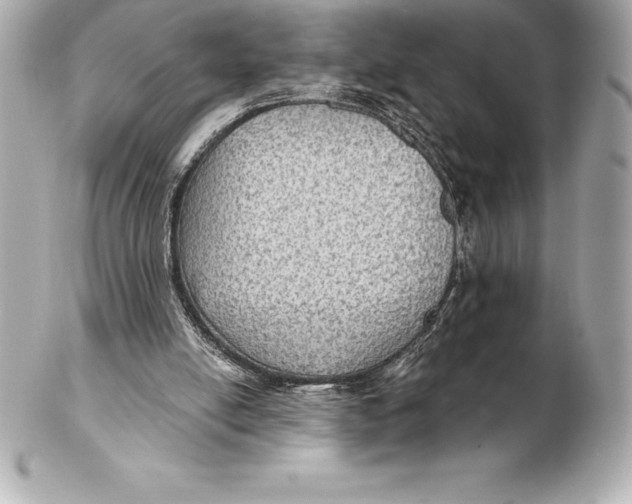 X0000102280054200808151938
