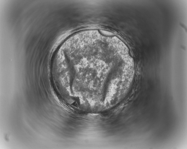 X0000102280055200808151938