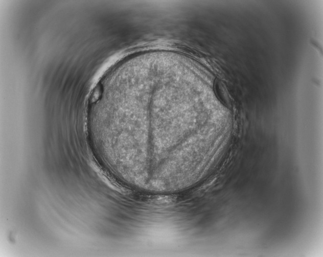 X0000102280056200808151938