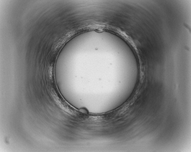X0000102280057200808151938
