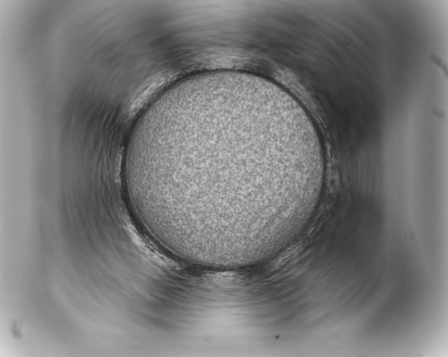 X0000102280058200808151938