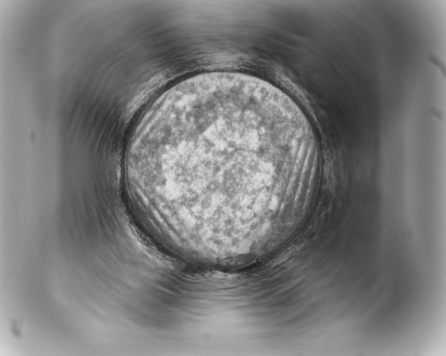 X0000102280059200808151938