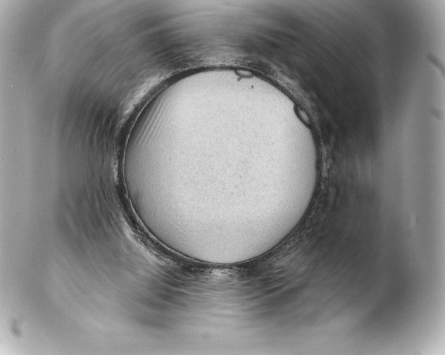 X0000102280060200808151938