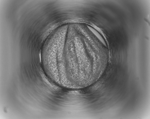 X0000102280061200808151938