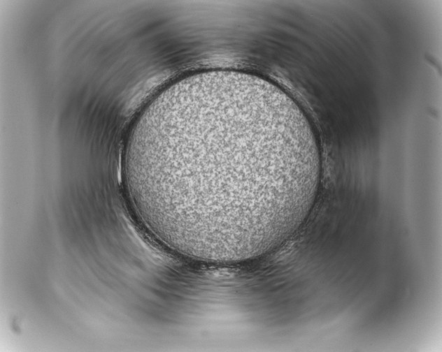 X0000102280062200808151938