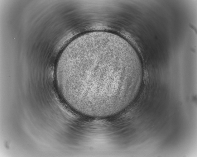 X0000102280063200808151938