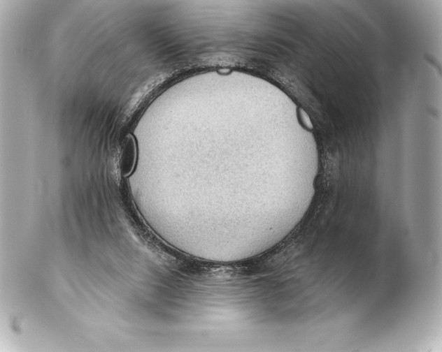 X0000102280064200808151938