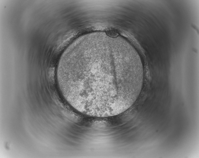 X0000102280066200808151938