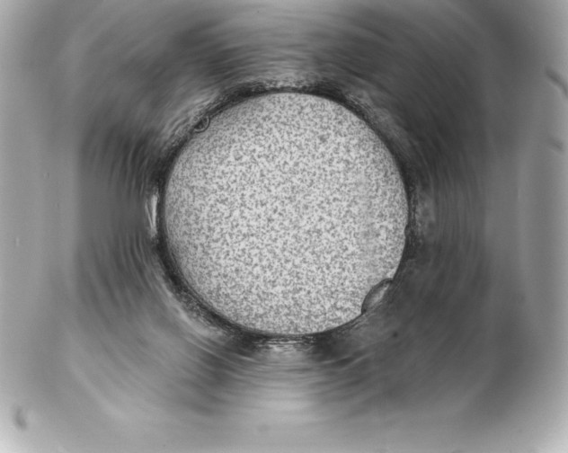 X0000102280070200808151938