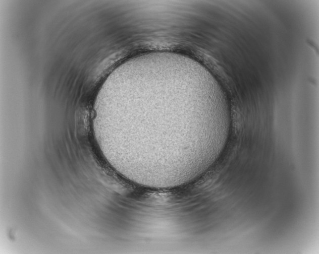 X0000102280071200808151938