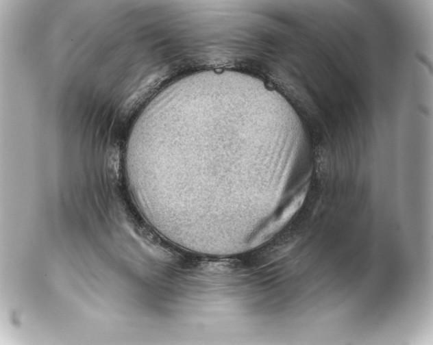 X0000102280072200808151938