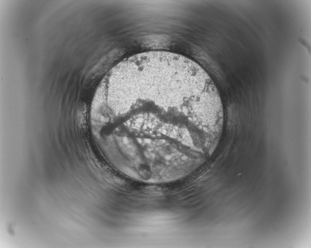 X0000102280073200808151938