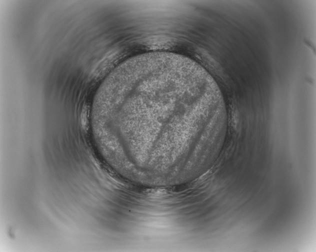 X0000102280074200808151938