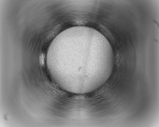 X0000102280075200808151938