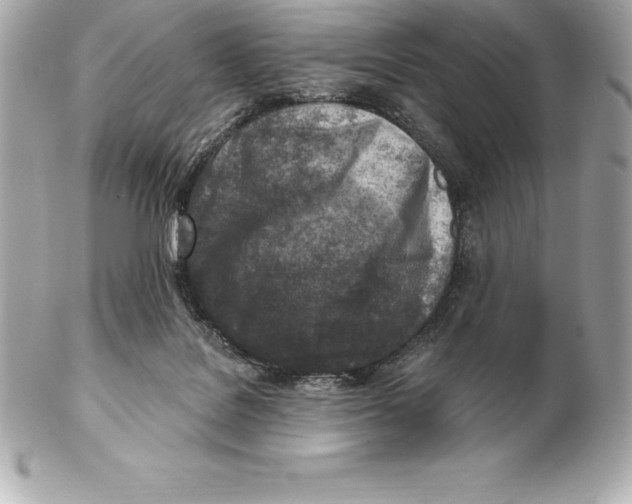 X0000102280076200808151938