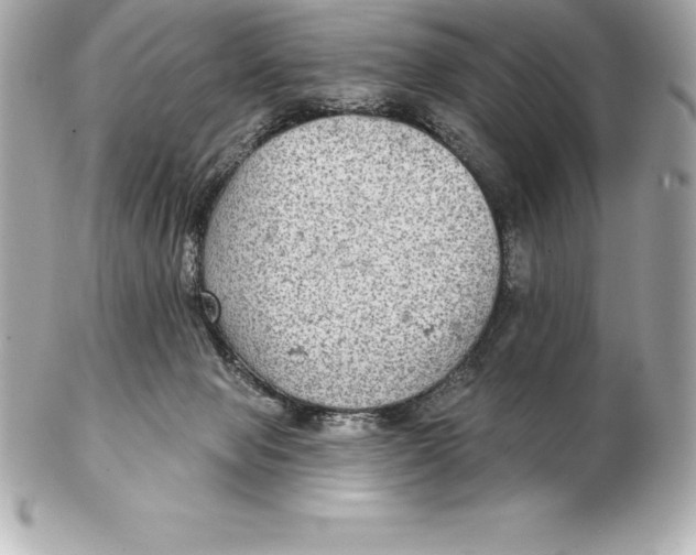 X0000102280077200808151938
