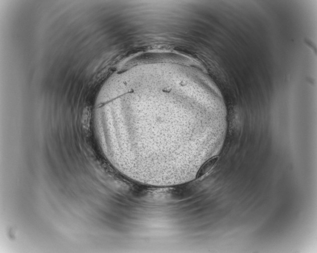 X0000102280078200808151938