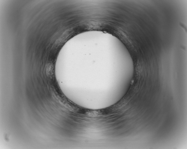 X0000102280079200808151938