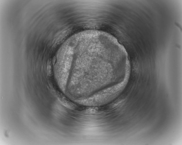 X0000102280080200808151938
