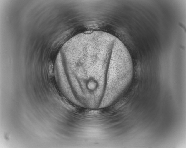 X0000102280081200808151938
