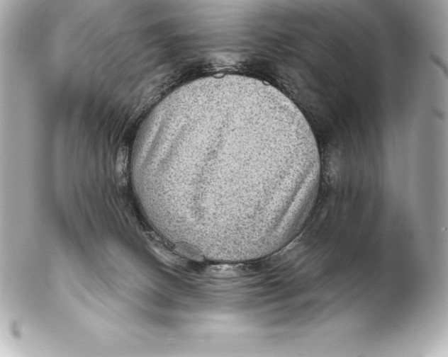 X0000102280082200808151938