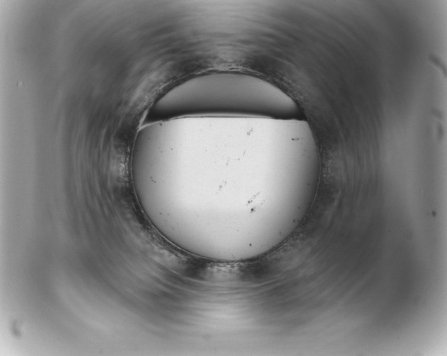 X0000102280084200808151938