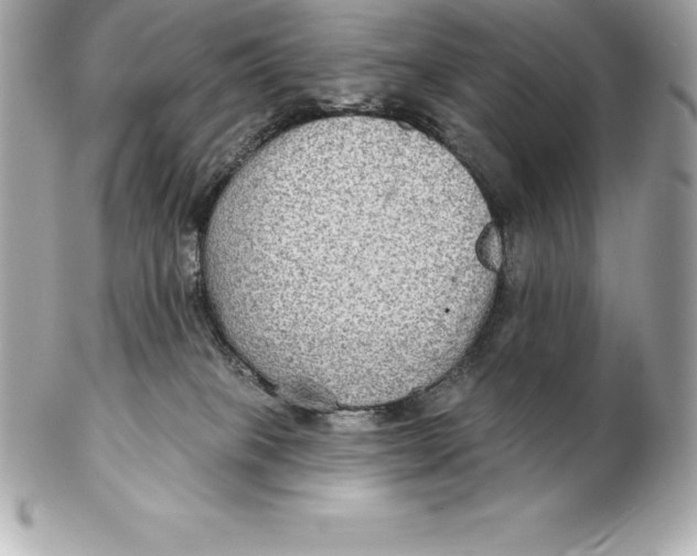 X0000102280085200808151938