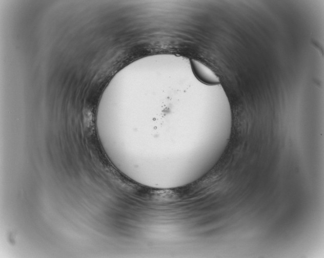 X0000102280087200808151938