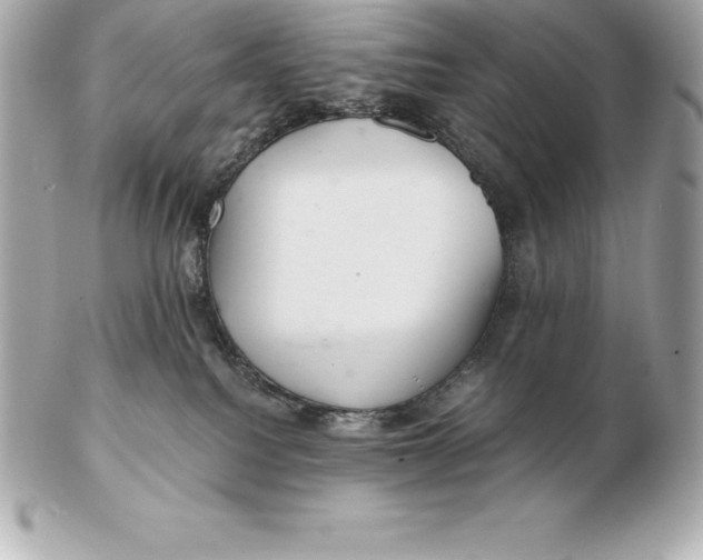 X0000102280088200808151938