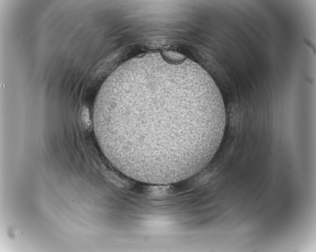 X0000102280089200808151938