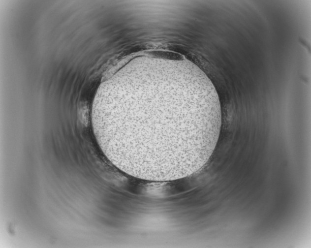 X0000102280090200808151938