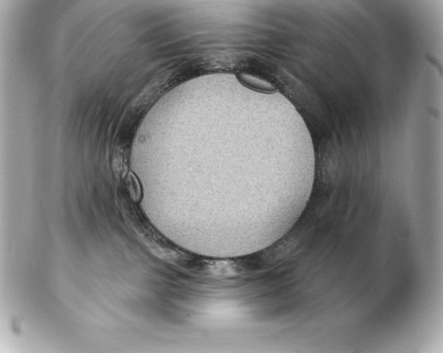 X0000102280091200808151938