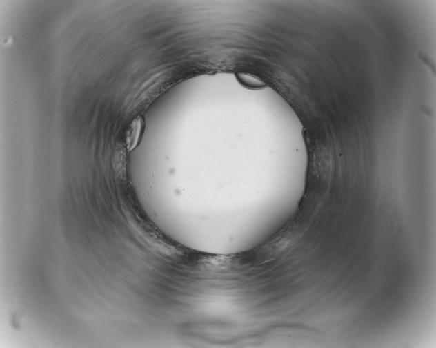 X0000102280092200808151938