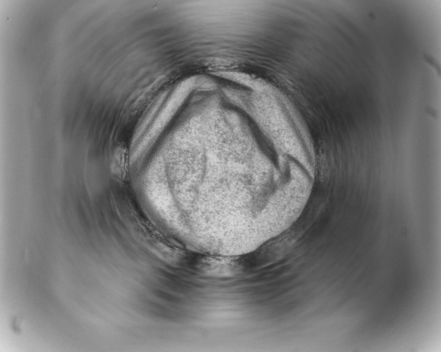 X0000102280093200808151938