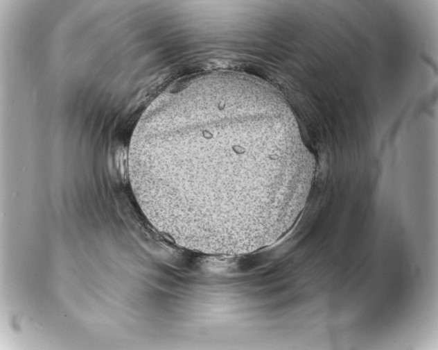 X0000102280094200808151938