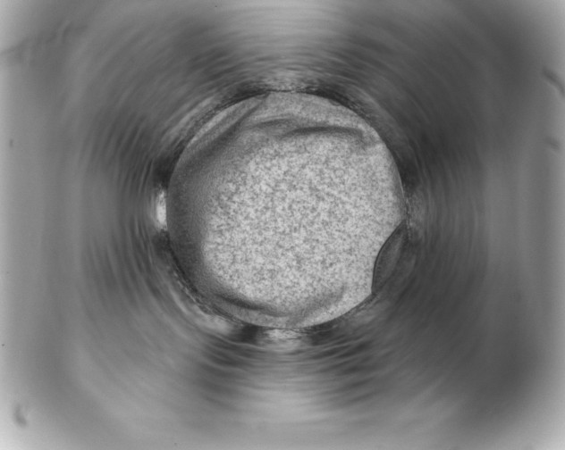 X0000102280095200808151938