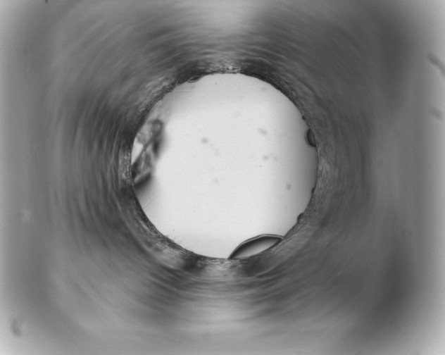 X0000102280096200808151938