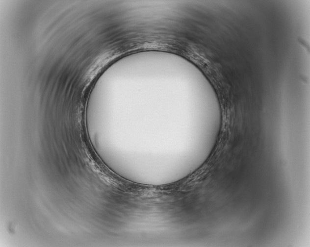 X0000102280098200808151937